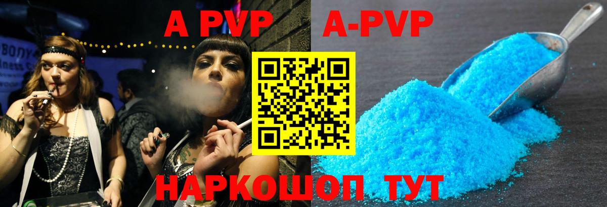 A-PVP СК КРИС Кингисепп