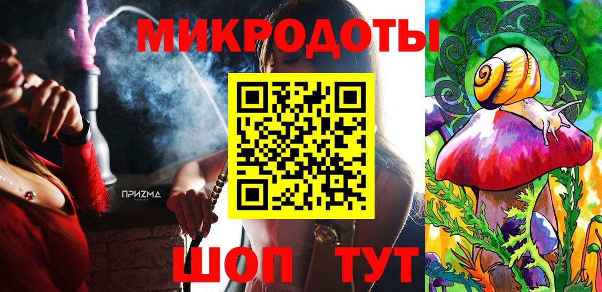 Псилоцибиновые грибы Psilocybe Кингисепп